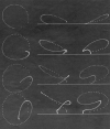 Projecties van boemerangbanen, getekend met de eerste DYMEC stempelplotter, uit het Scientific American artikel van Felix Hess, 1968.