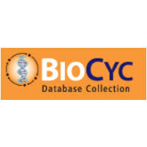 BioCyc