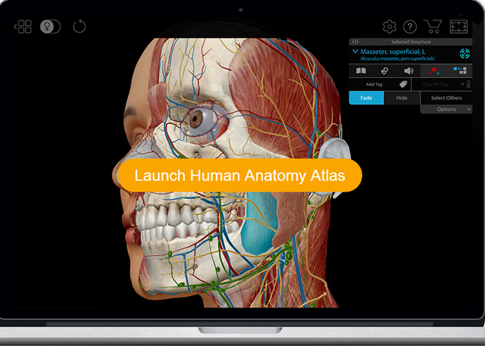 human anatomy atlas app free
