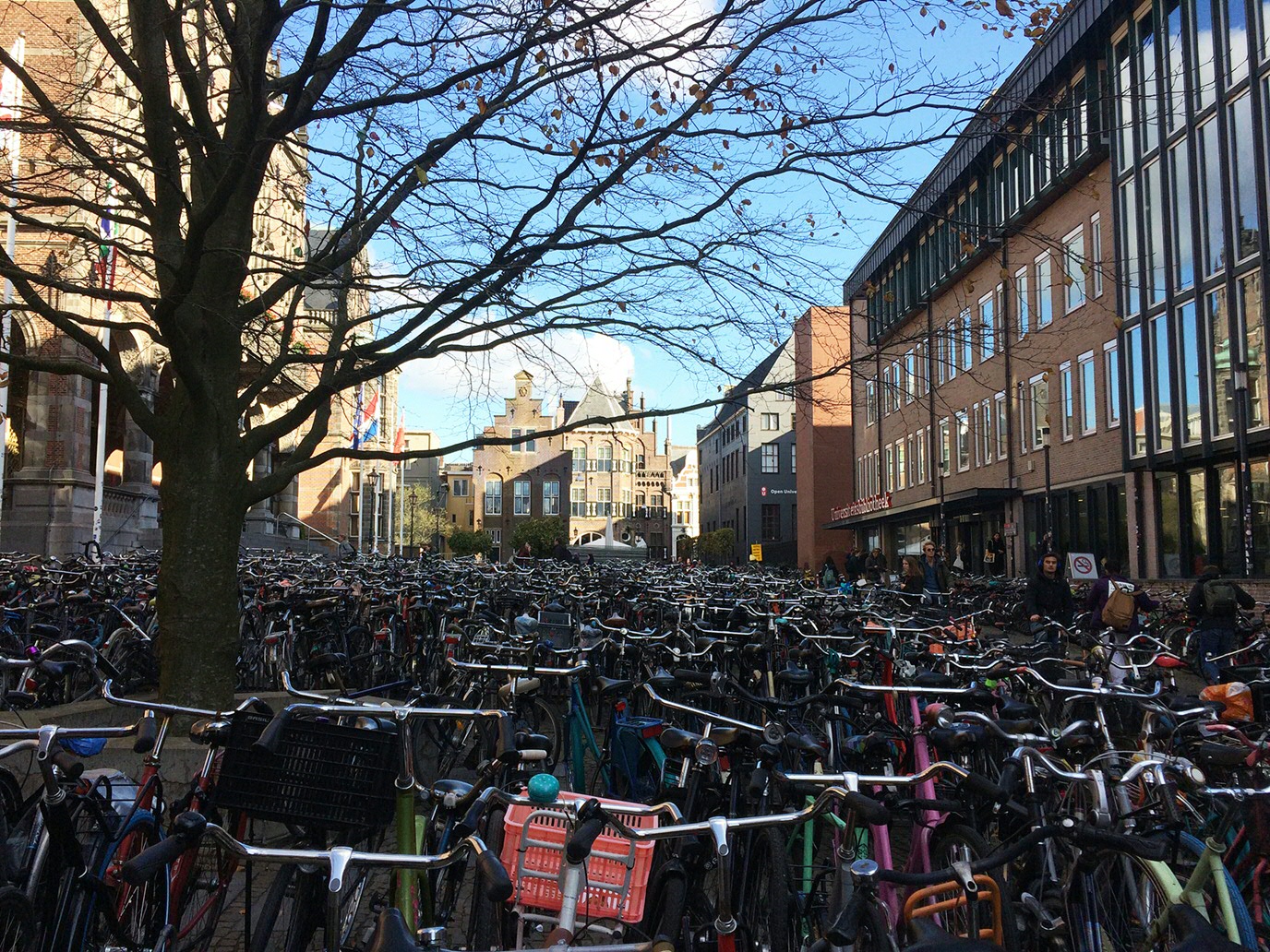 UniversiteitsbibliotheekUniversity of Groningen Library (UB)