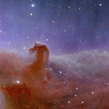 Exploring big data in astronomy: an interview with Gijs Verdoes Kleijn and Rees Williams