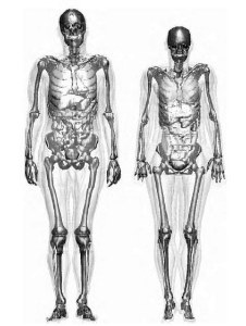 ICRU anthropomorfe fantomen Golem (links) en Laura (rechts)