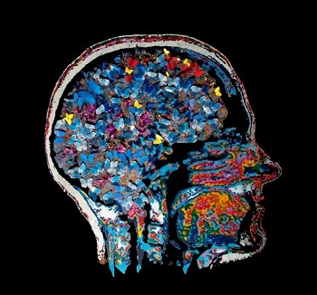 1 BITS. NeuroScienceArt Project by Pablo Garcia Lopez. Example were science meets art. More info:https://artthescience.com/blog/2016/08/08/bits-pablo-garcia-lopez/