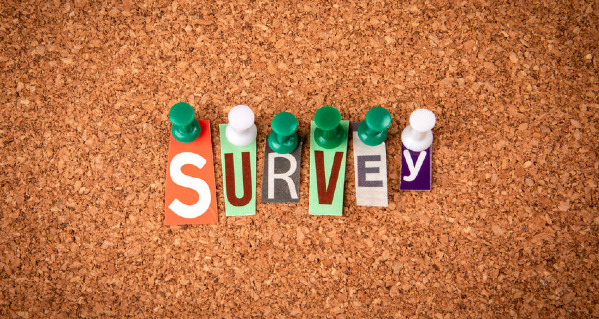 PhD Survey 2025