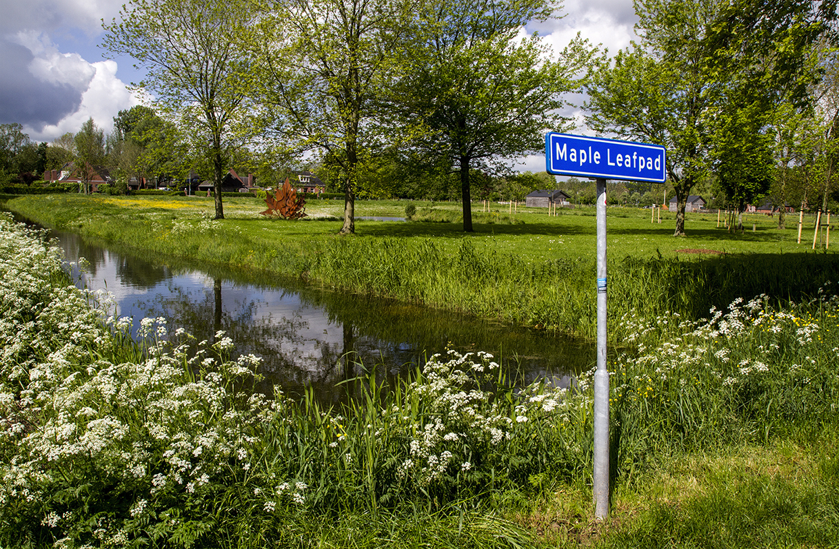 The Bevrijdingsbos is all Canada-themed.