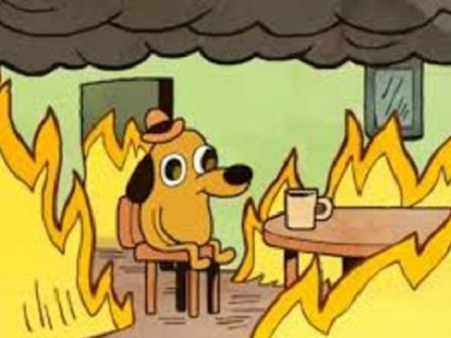 "This is fine"