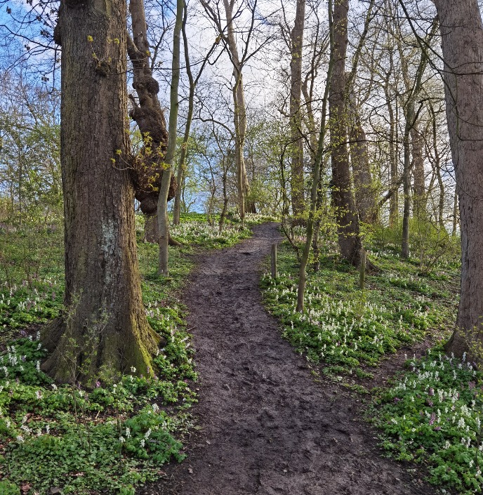 What walking through Noorderplantsoen on a Spring day looks like - heaven
