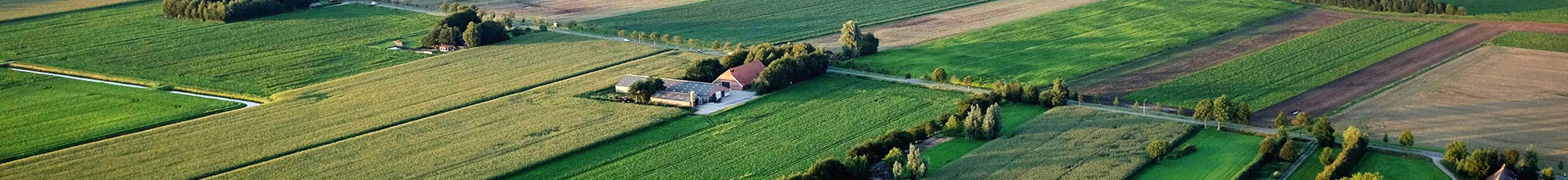 Header image Landschapsgeschiedenis