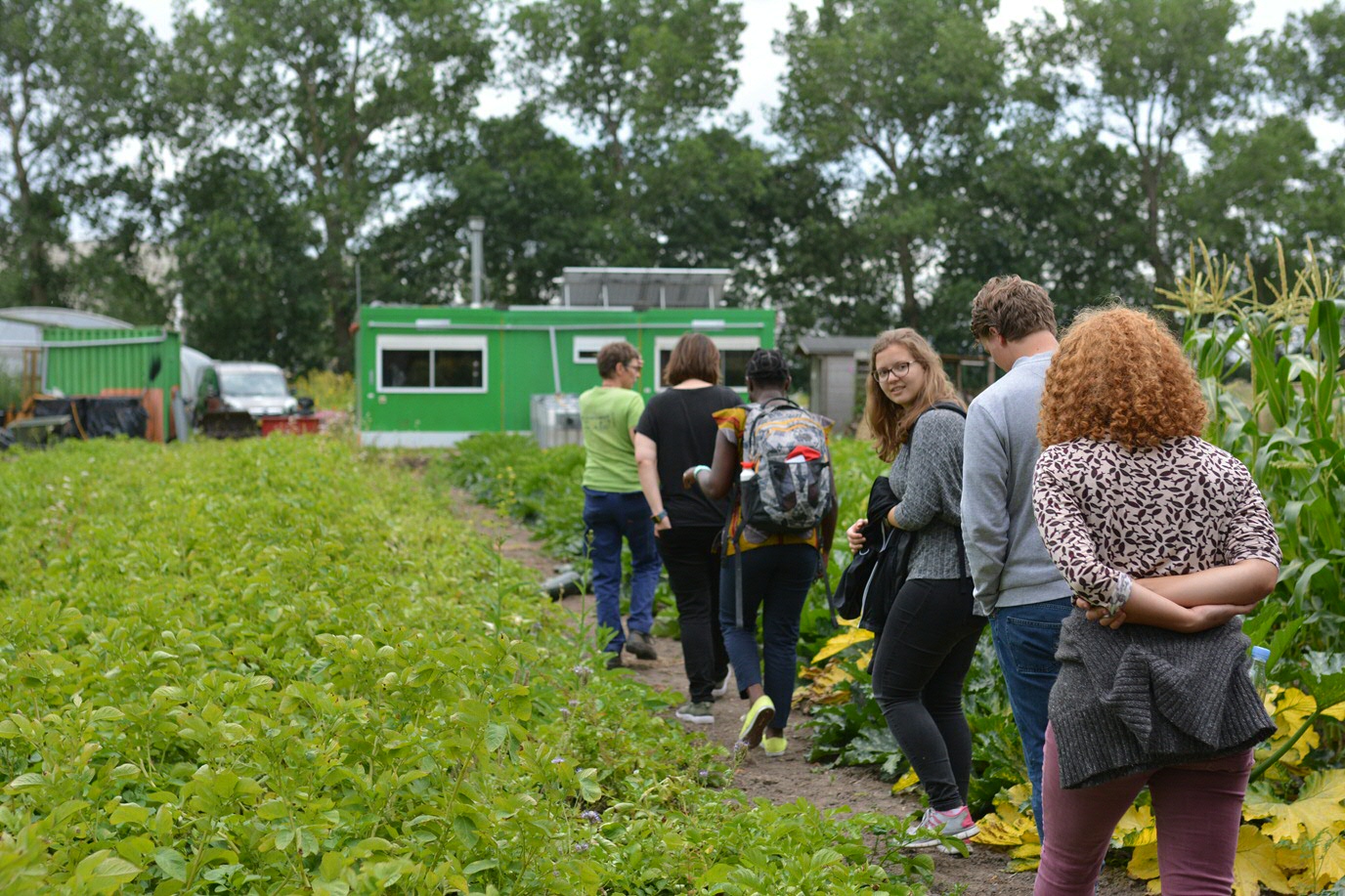 Visit to an eco farm