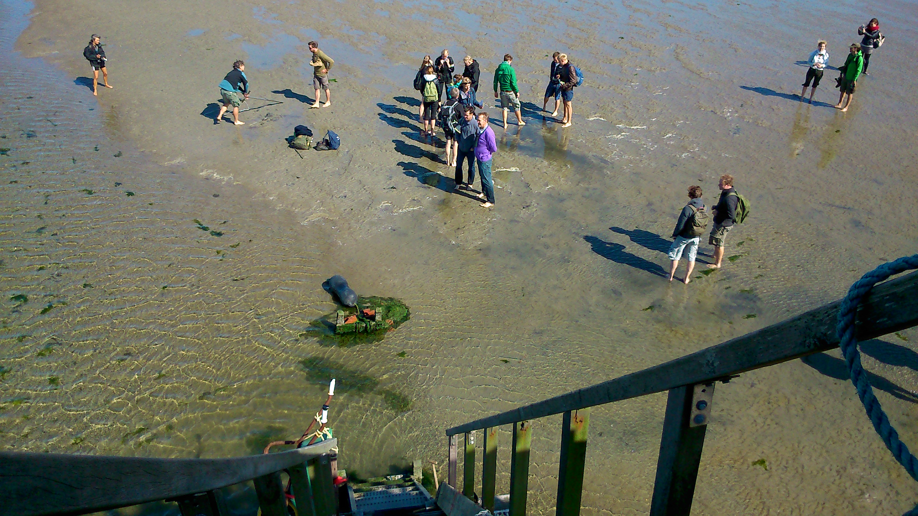 The Wadden Experience