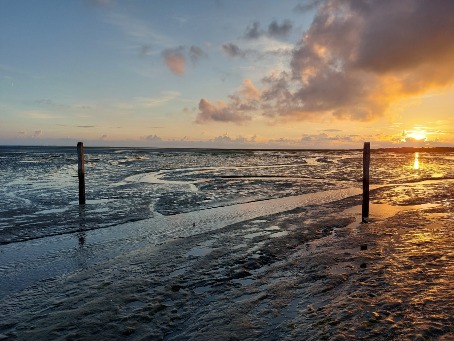 Schiermonnikoog beach in sunset