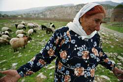 Woman in field