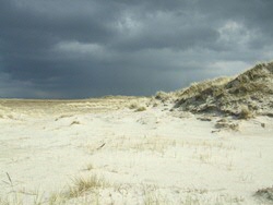Schiermonnikoog