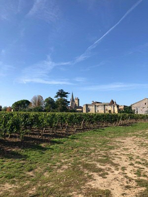 Vinyard