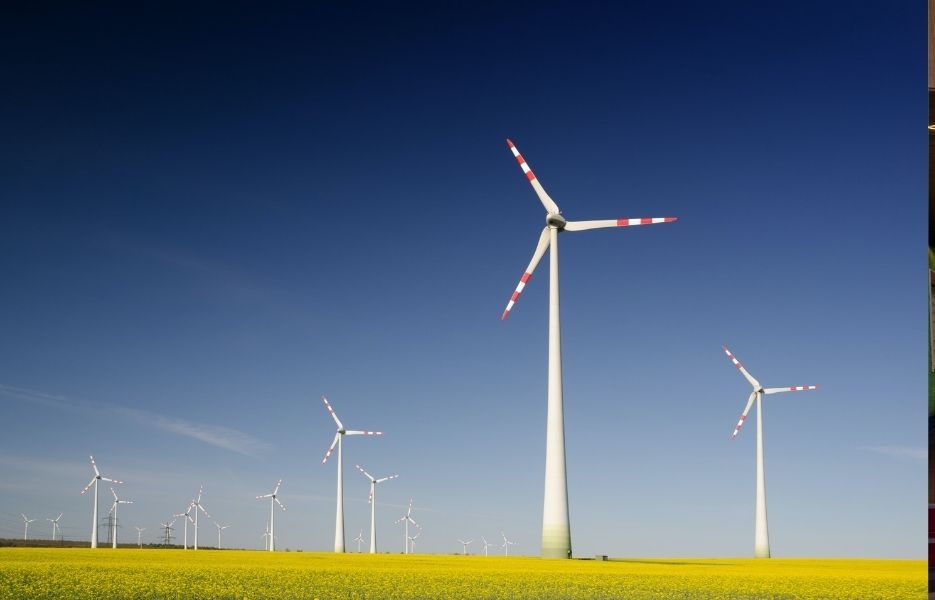 Centre for Energy Business and Economics Research