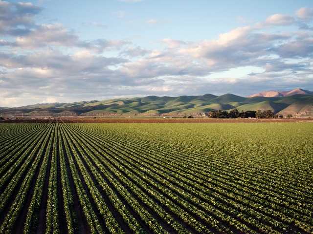 boeren zouden op vele manieren onze natuurlijke leefomgeving verslechteren.