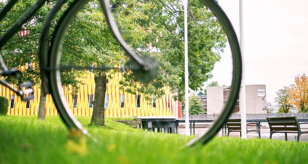 Governance-structuur