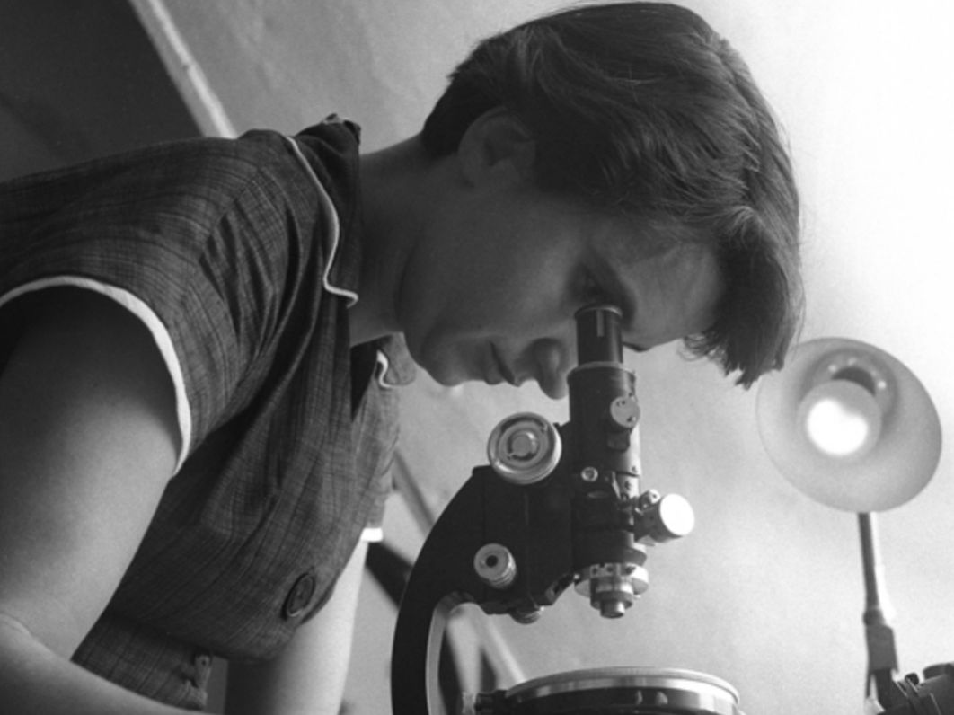 Pioneering chemist Rosalind Franklin, who helped discover DNA, at work.