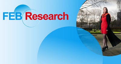 FEB Research Newsletter
