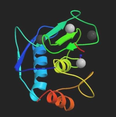 Analytical Biochemistry