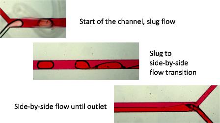 Multiple flow patterns in a microfludic channel
