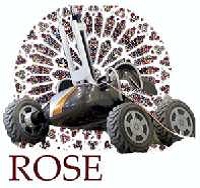 Rose logo