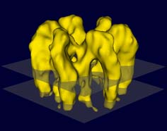 AUM model