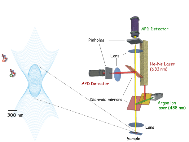 Dual-color confocal microscope