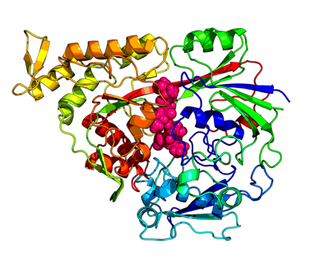 Crystal structure of oligopeptide binding protein OppA of the ABC transporter Opp from L. lactis