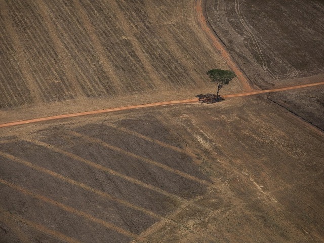 Deforested land in the Amazon region of Brazil (Source: commons.wikimedia.org)