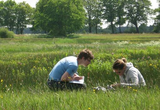 Bachelor Human Geography & Planning
