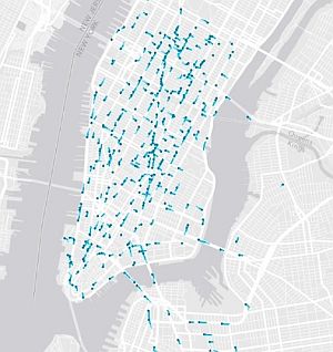 verplaatsingsgedrag van fietsers in New York
