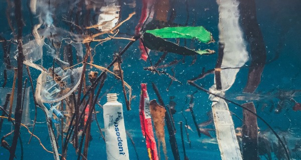 Science in Focus