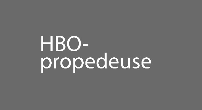 Met een HBO-propedeuse