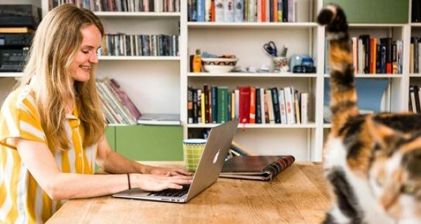 Web Classes