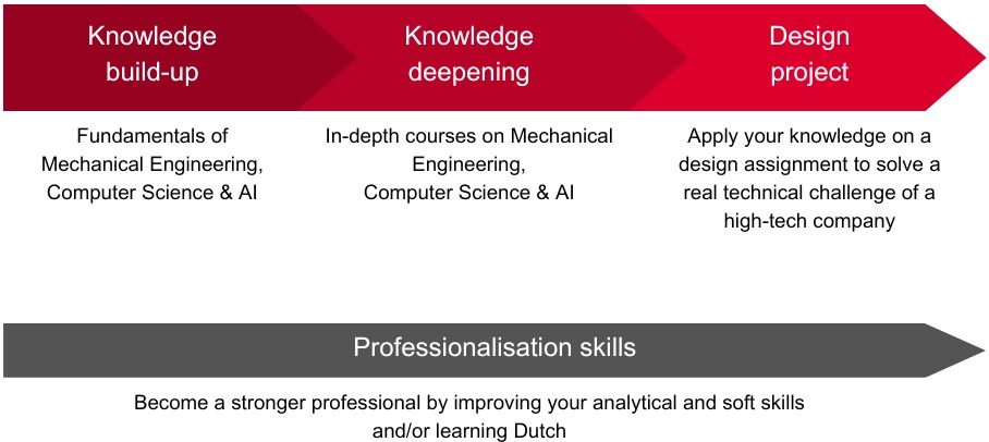 Scheme of the progression through the programme