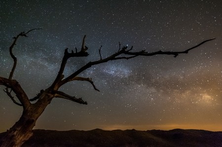 Darkness along the Wadden coast: even the Milky Way is visible here as a band of light | Photo Rutger Bus