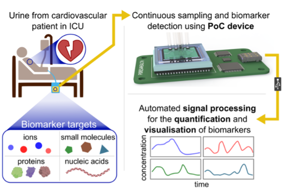 Schema van een proof-of-concept apparaat dat zal worden geïntegreerd met katheterisatiezakken voor continue bewaking van natriurese bij patiënten met hartfalen op IC-afdelingen