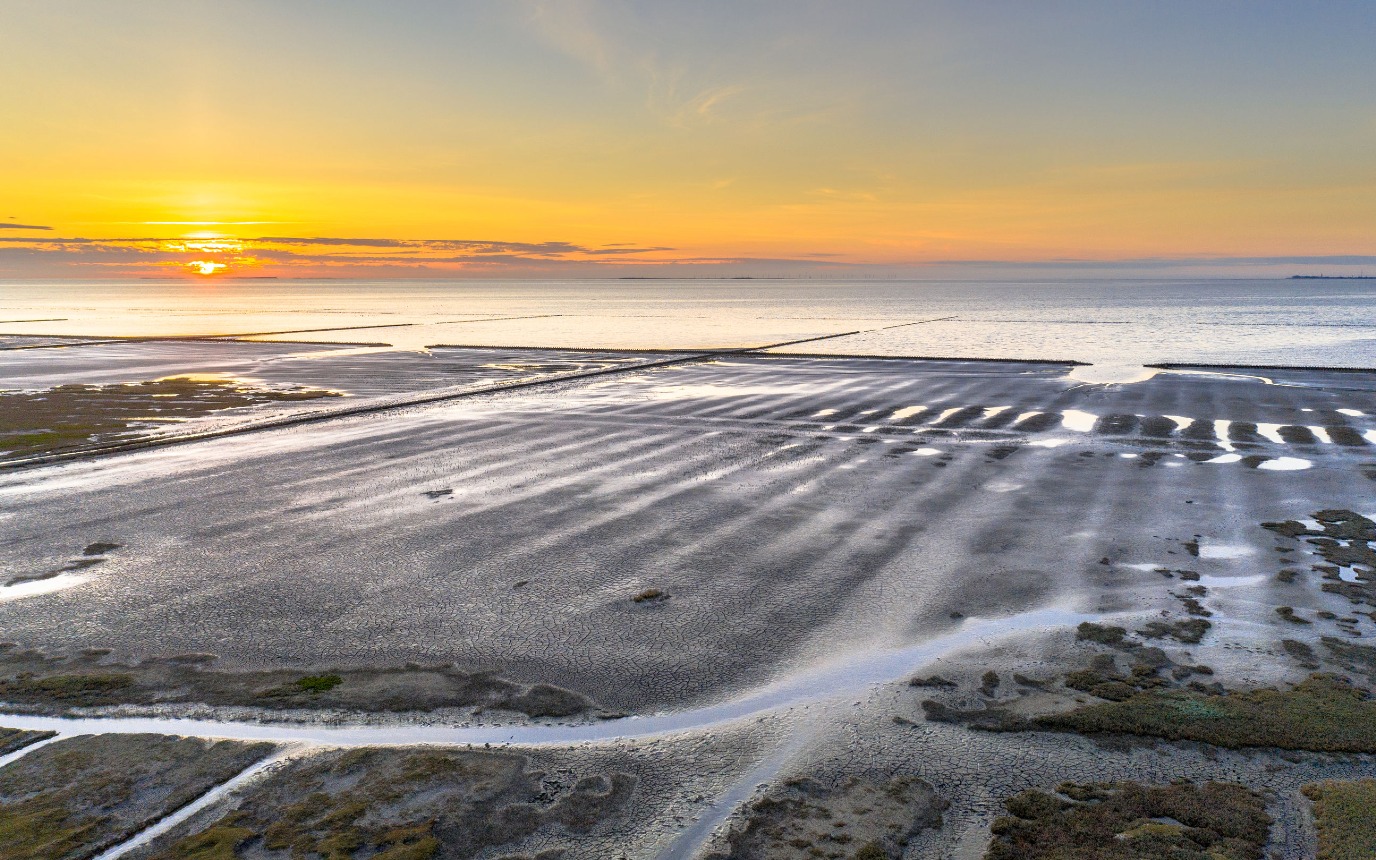 Waddenkwelder bij Uithuizen (foto: Rudmer Zwerver)