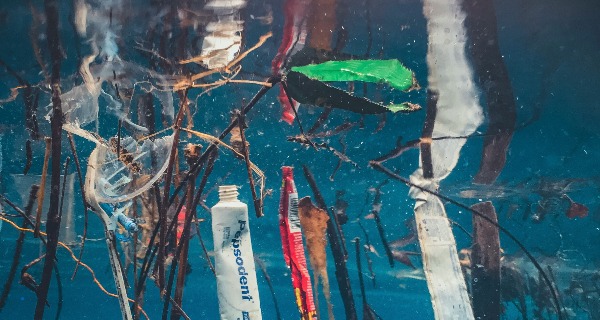Science in Focus