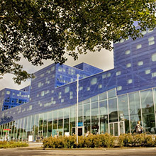 Zes MSCA Postdoctoral Fellowships bij FSE