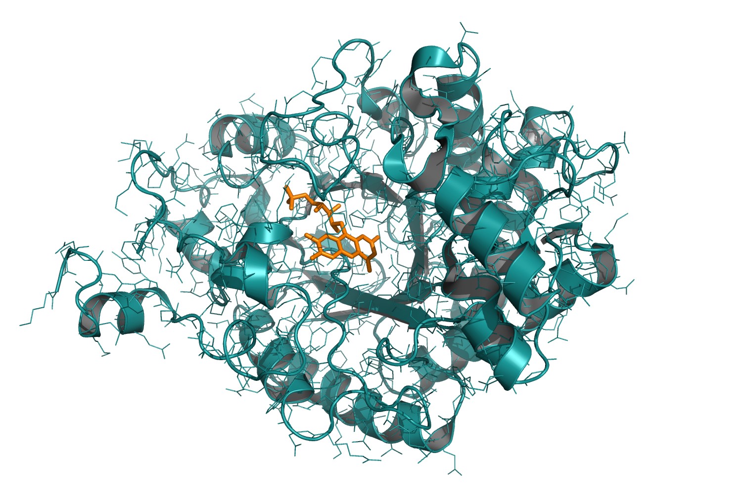 reductase