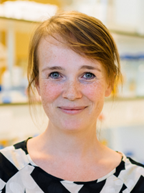 prof. dr. Marthe Walvoort