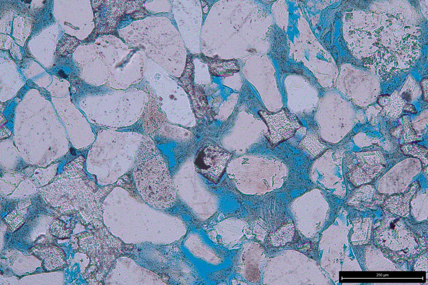 Microscopisch beeld van kleisteen. Blauw toont de holtes waarin waterstof wordt opgeslagen