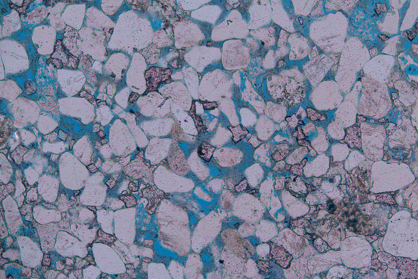 Microscopisch beeld van kleisteen