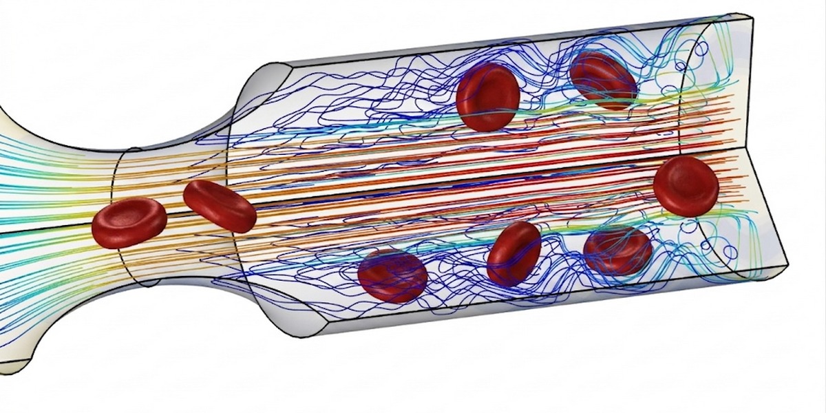 Science in Focus: Batterijbouwers van de RUG: stroom opslaan in een vloeistof