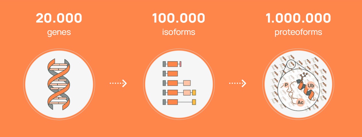 decoratieve afbeelding