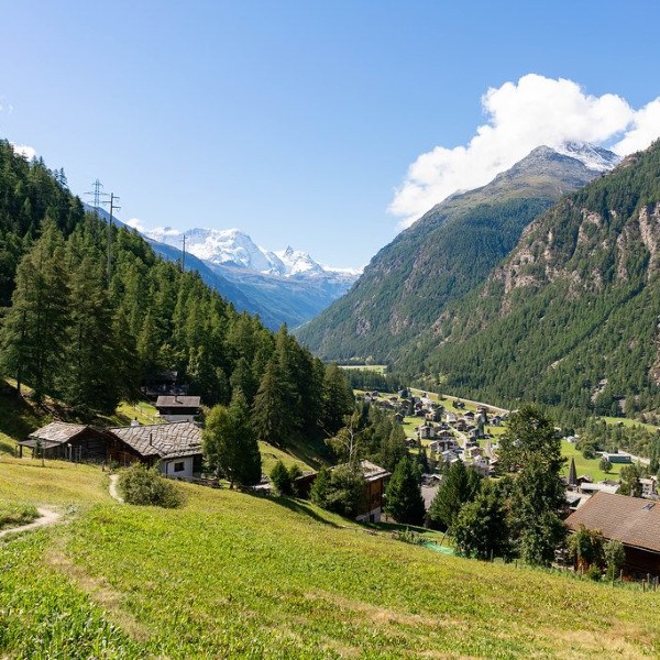 Older brothers close in age reduce their sisters&rsquo; chances of survival