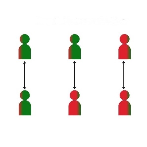 How a free flow of information can amplify incorrect ideas
