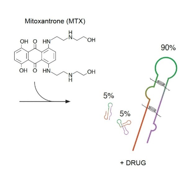 Study shows how to identify drugs altering RNA structure and function